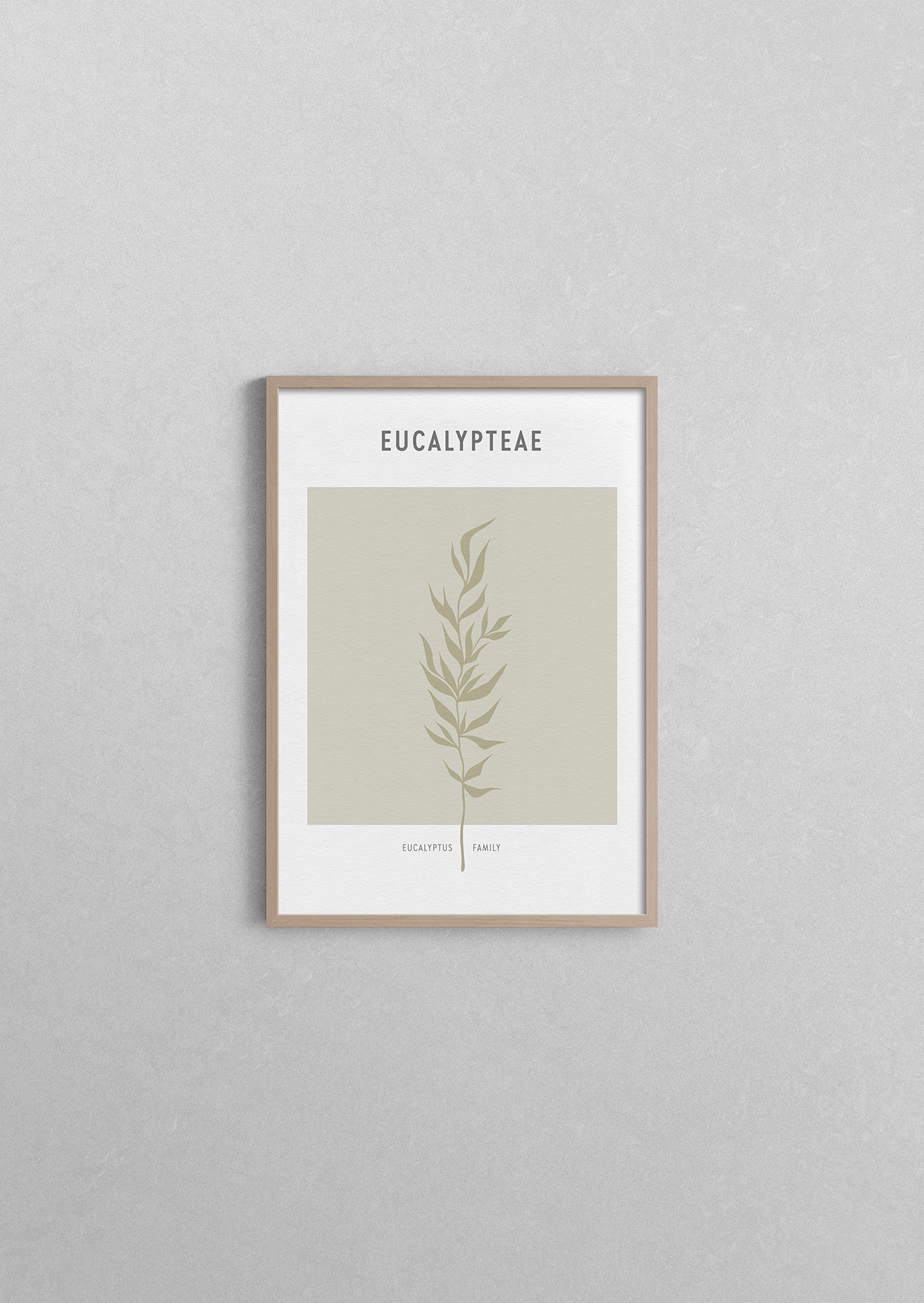 Boho Leaves 2 Eucalypteae